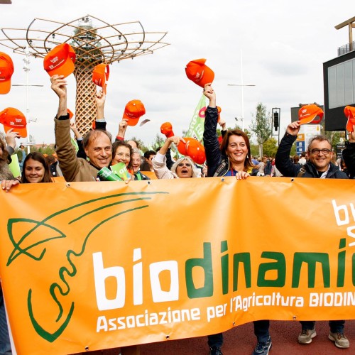 Expo 2 Corteo Facebook