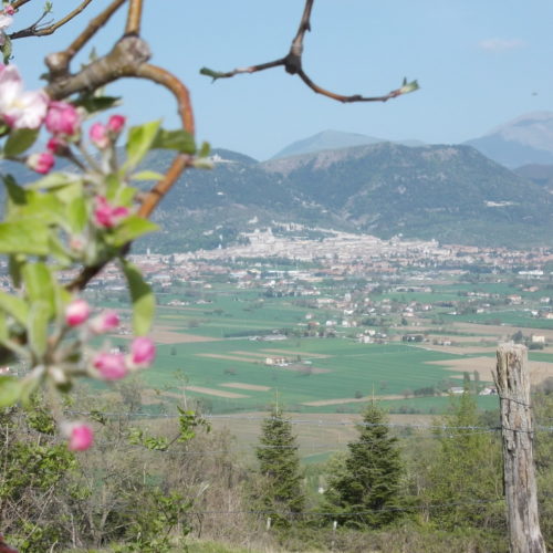 12 Gubbio Vista Dal Meleto