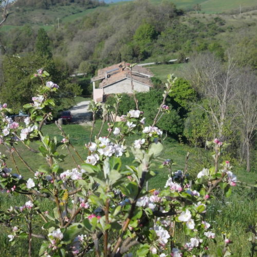 6 Casa Dal Meleto Alto