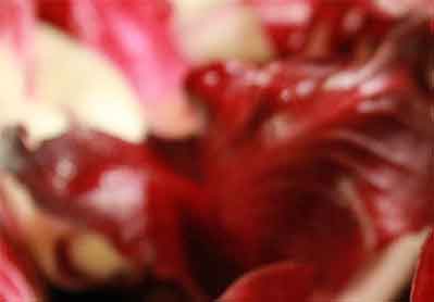 Biodinamica Italiana